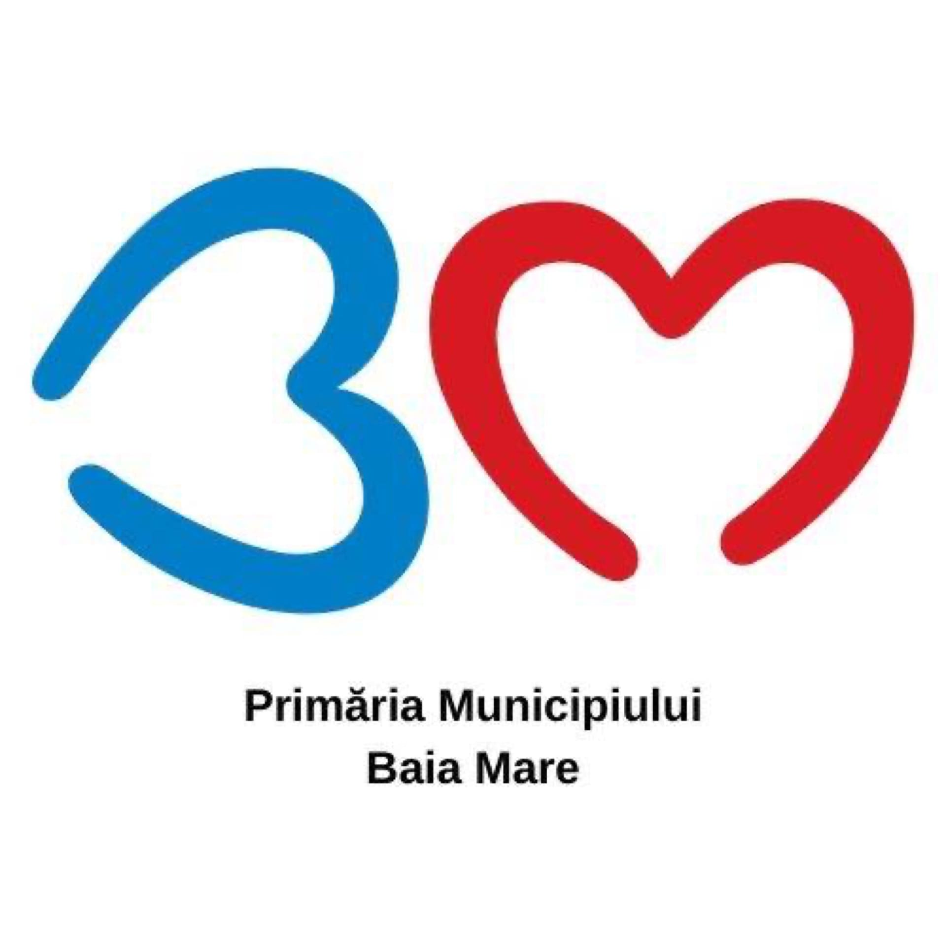 Baia Mare Membri Si Parteneri Arsc