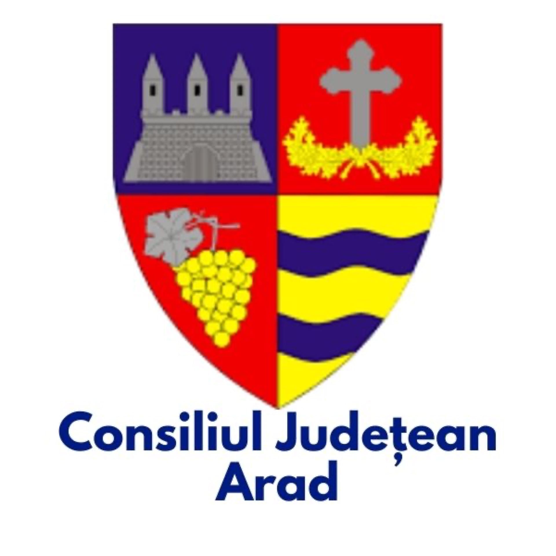 Cj Arad AsociațIa RomâNă Pentru Smart City