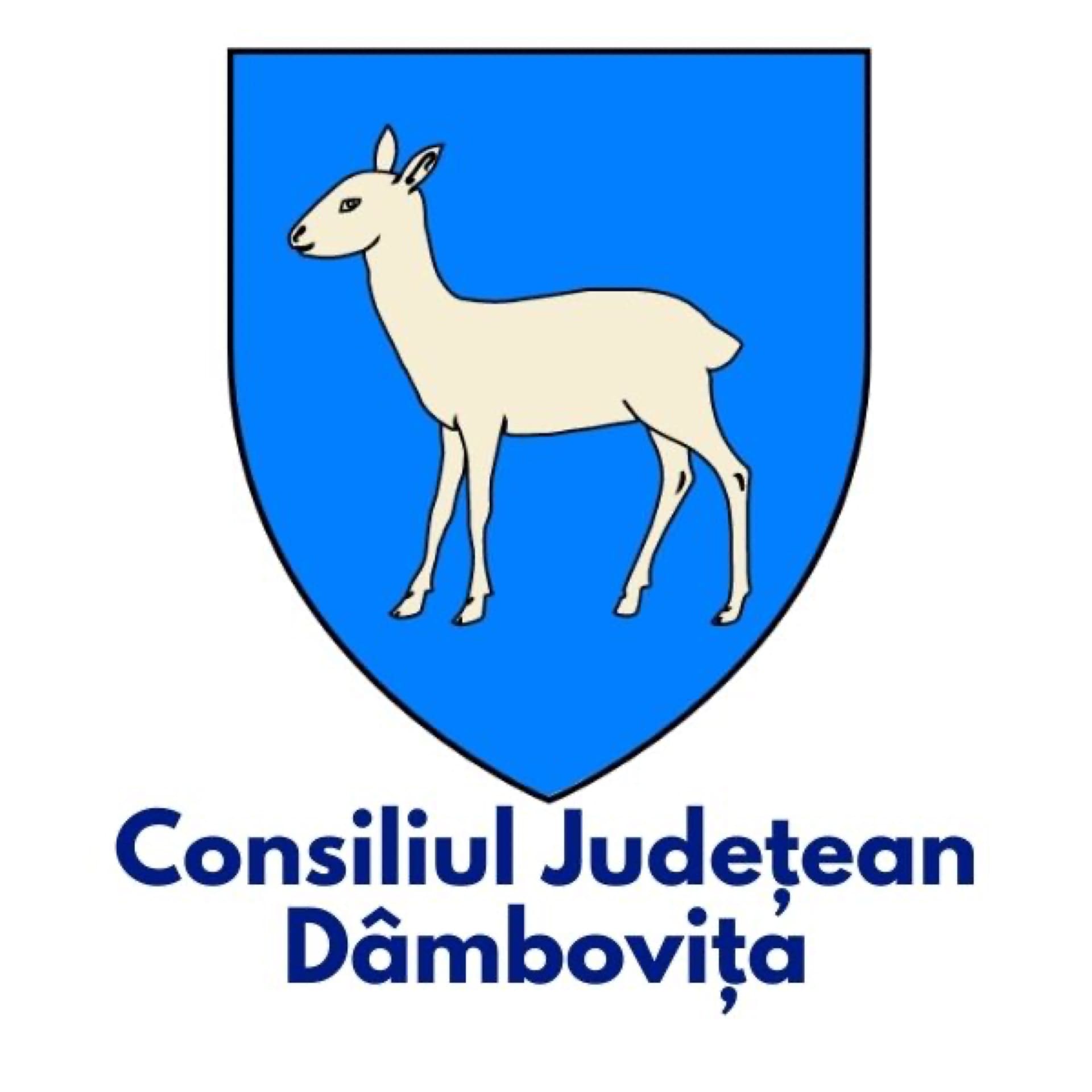 Cj Dambovita AsociațIa RomâNă Pentru Smart City
