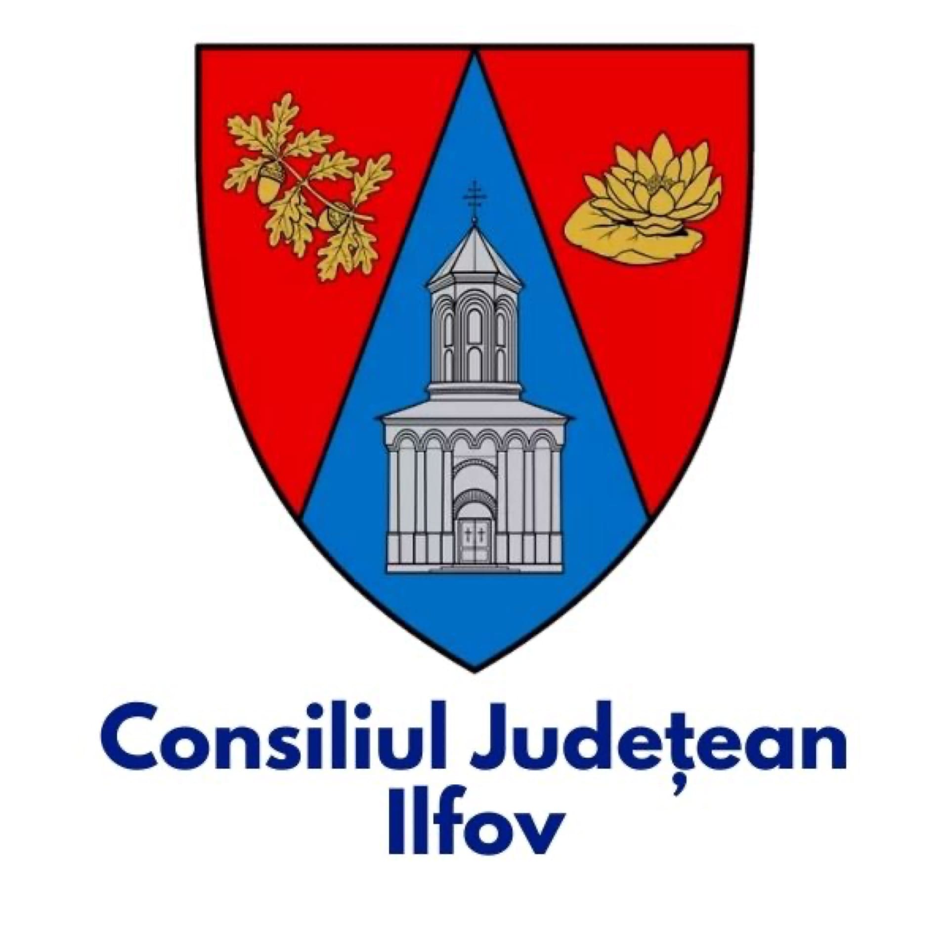 Cj Ilfov AsociațIa RomâNă Pentru Smart City
