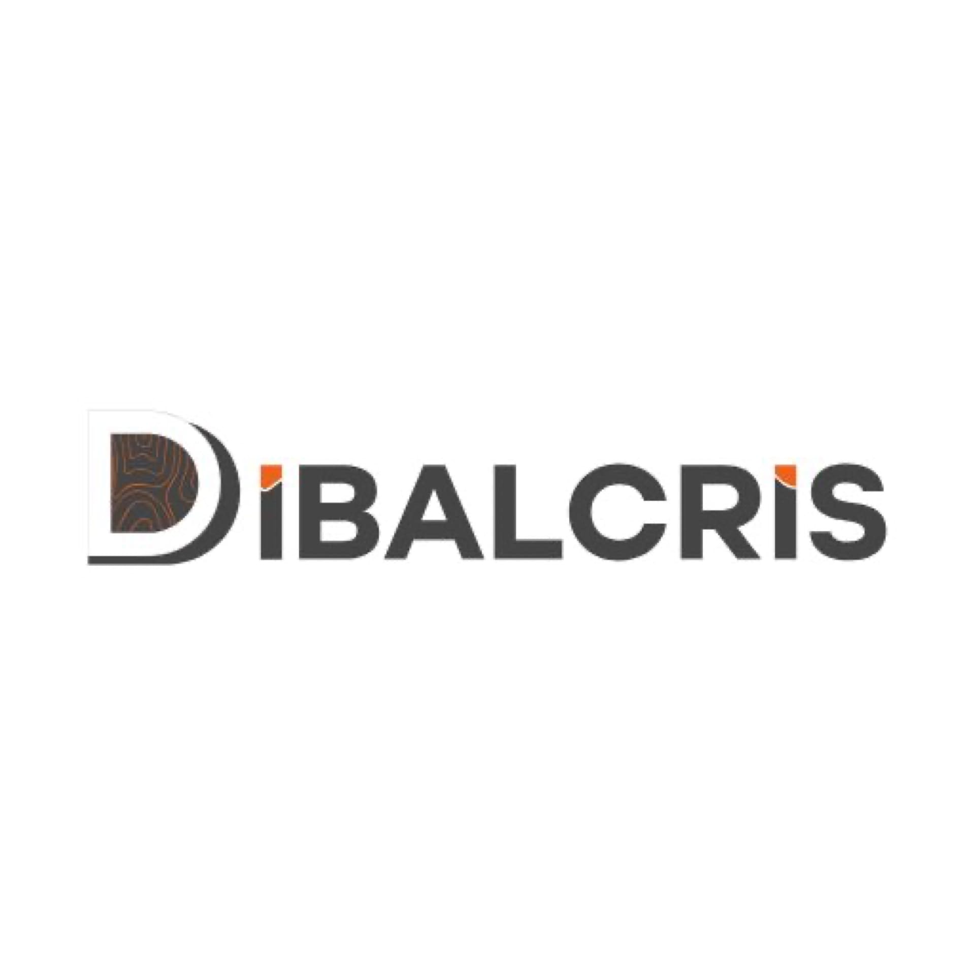 Dibalcris Asociatia Romana Pentru Smart City